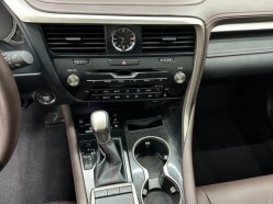 Lexus RX300 Special Edition 4WD 2021