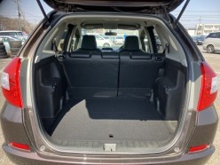 Honda Fit Shuttle 1.5 15X 2012