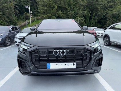 Audi Q8 3.0 50 TDI quattro tiptronic Premium 2023