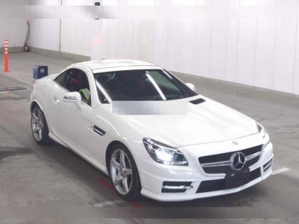 Mercedes-Benz SLK-Class SLK 200 BlueEFFICIENCY Sports 2012
