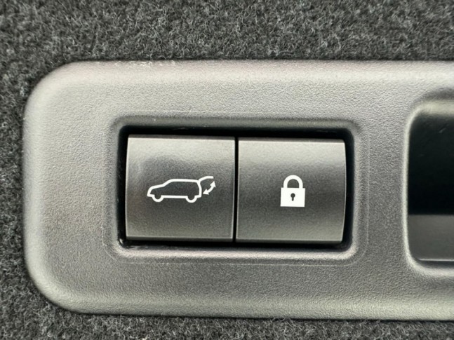 Lexus RX300 Special Edition 4WD 2021