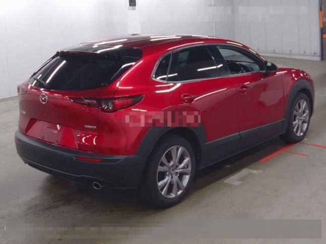 Mazda CX-30 1.8 XD PROACTIVE Touring Selection 2019