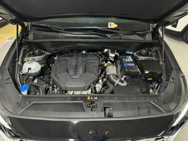 Hyundai Santa Fe 2.2 CRDi 2WD DCT Premium Choice 2020