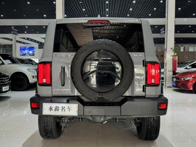 Tank 300 2.0T AT 4WD Off-Road Conqueror 2021