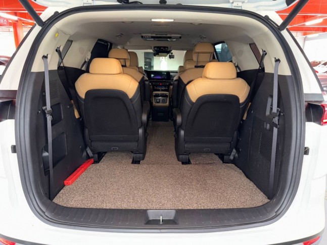 KIA Carnival 2.2 CRDi AT Signature 9 seats 2021
